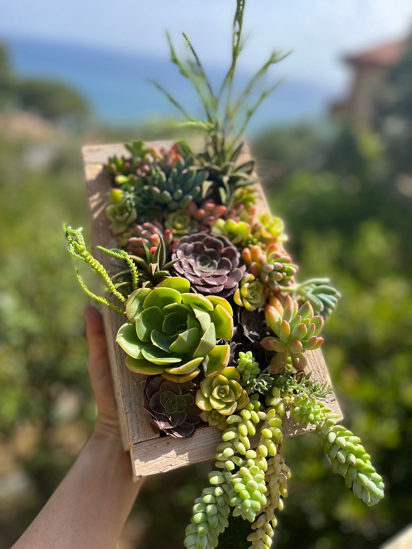 My project for course: Design and Creation of Botanical Compositions 1