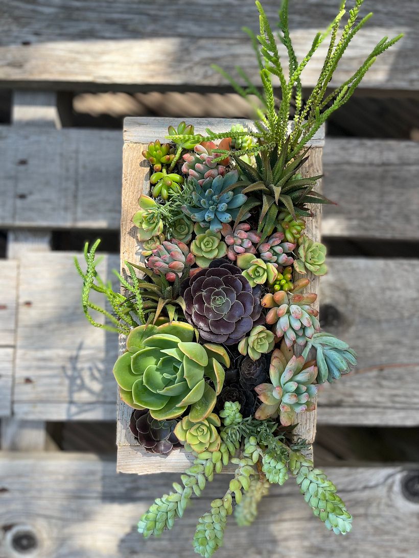 My project for course: Design and Creation of Botanical Compositions 2