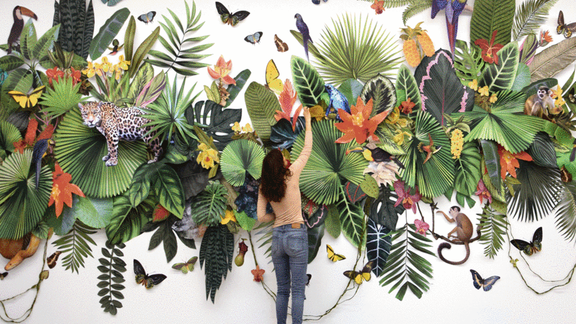 La artista de collages e instalaciones Clare Celeste Börsch usa la naturaleza como su inspiración para crear collages 3D.
