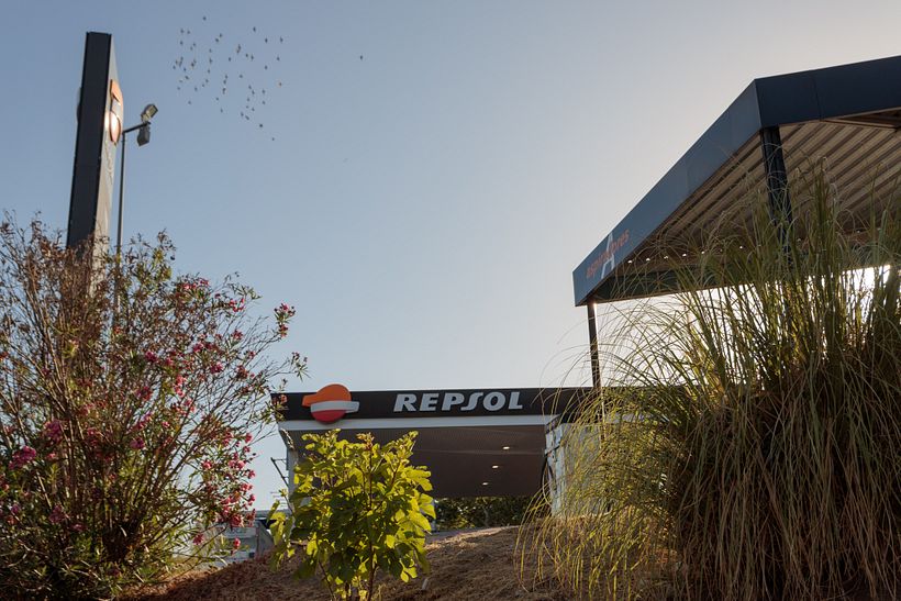 Bandada de palomas sobrevolando una de las 4 gasolineras del barrio