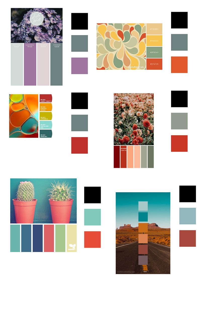 color swatches