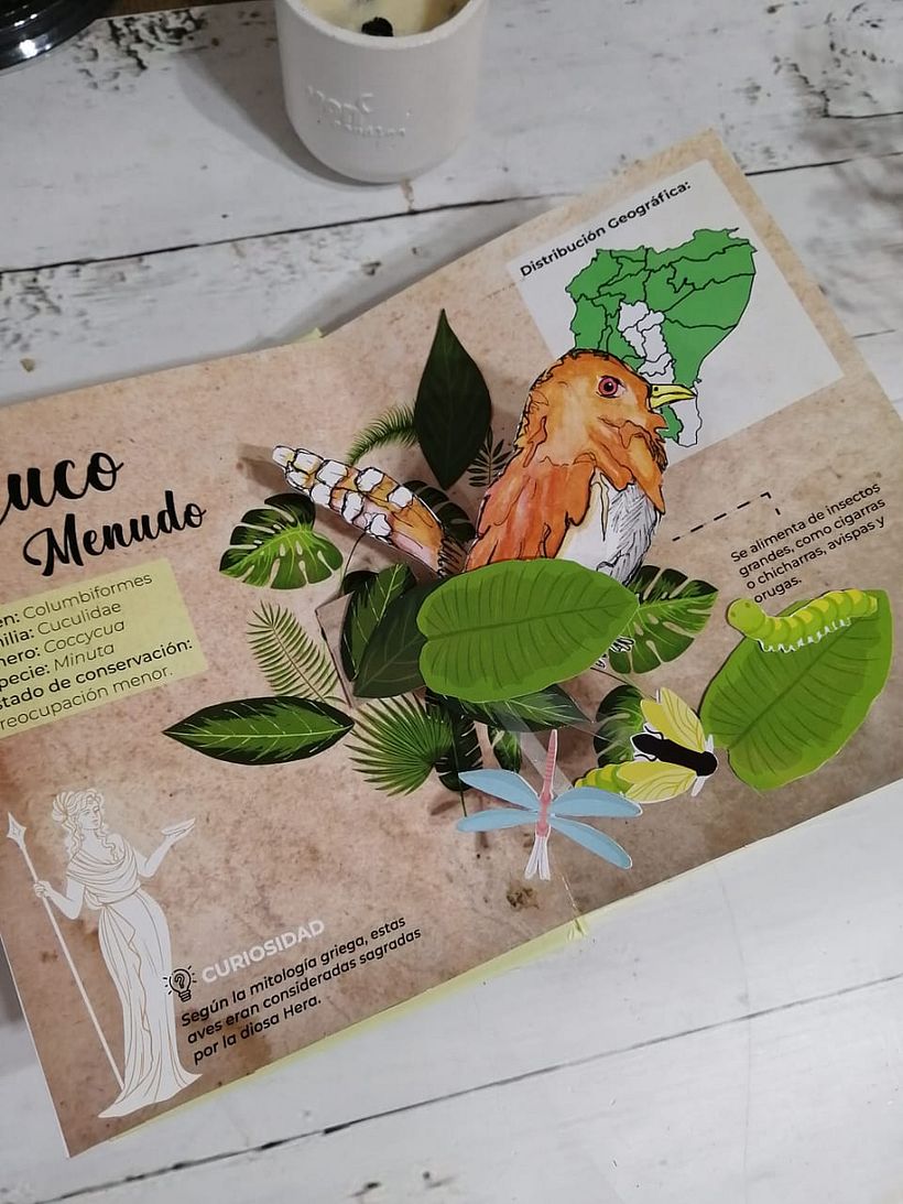 Mi proyecto del curso: Creación de libros pop-up 3