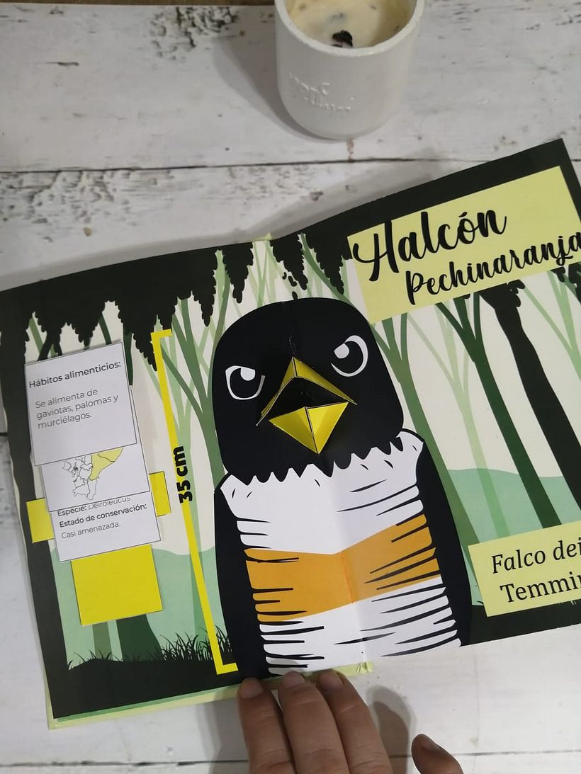 Mi proyecto del curso: Creación de libros pop-up 5