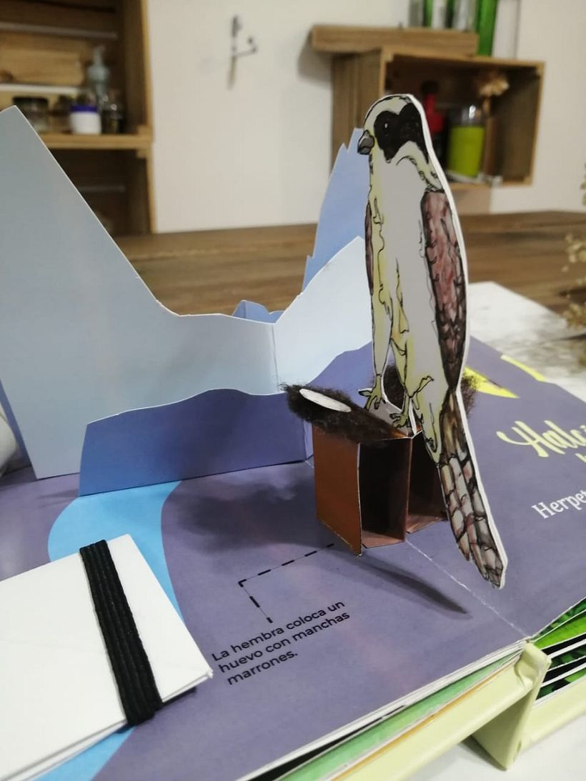 Mi proyecto del curso: Creación de libros pop-up 6