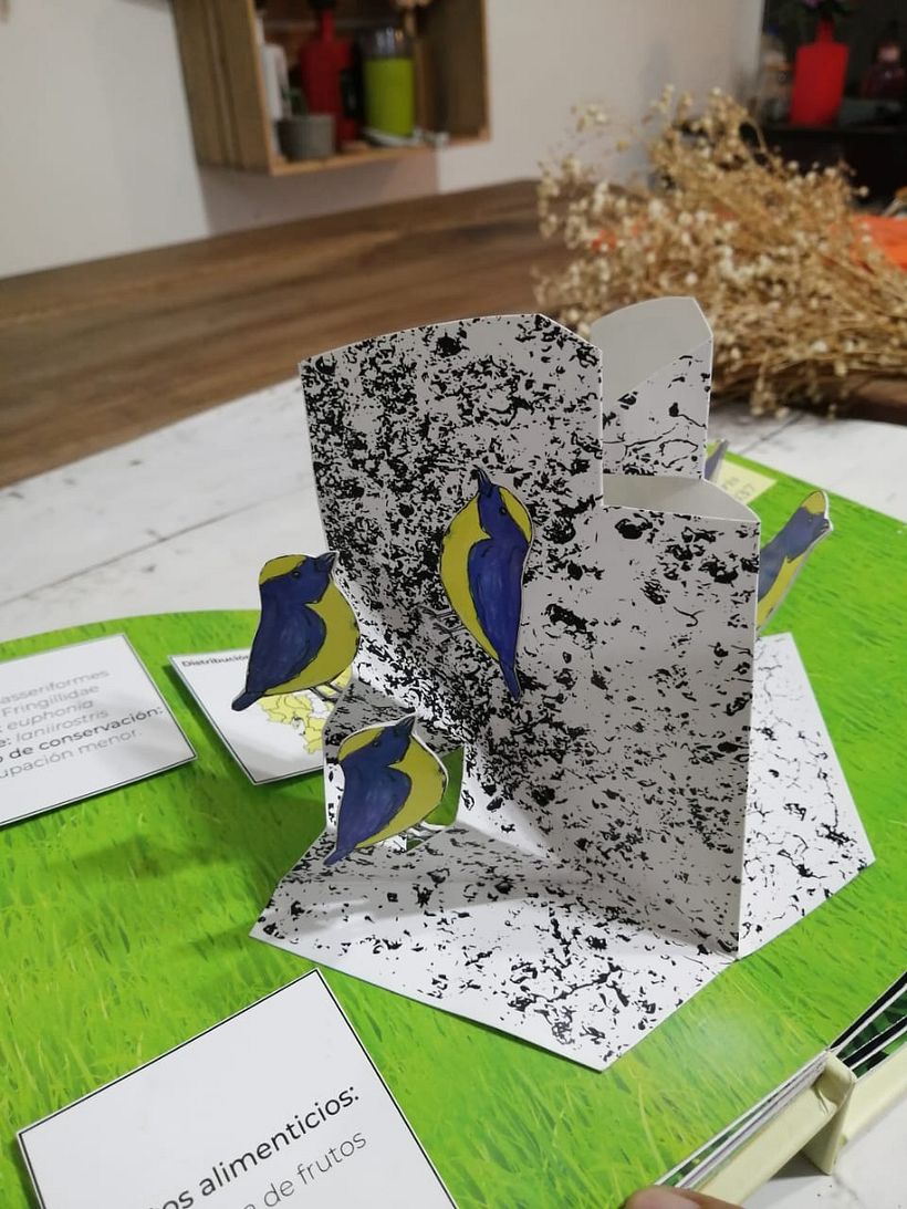 Mi proyecto del curso: Creación de libros pop-up 7