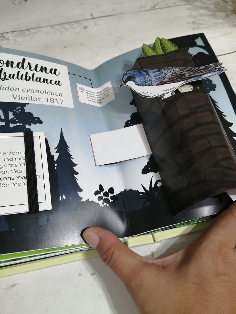 Mi proyecto del curso: Creación de libros pop-up 8