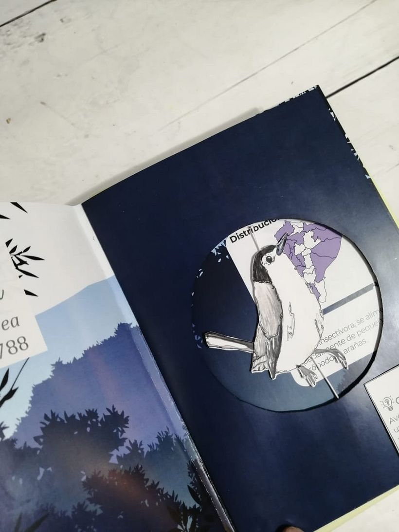 Mi proyecto del curso: Creación de libros pop-up 10