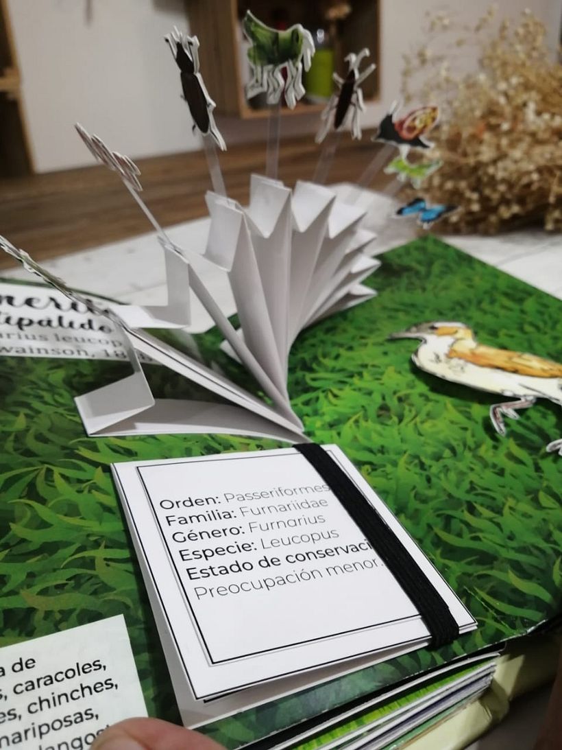 Mi proyecto del curso: Creación de libros pop-up 11