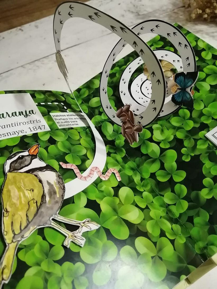 Mi proyecto del curso: Creación de libros pop-up 12