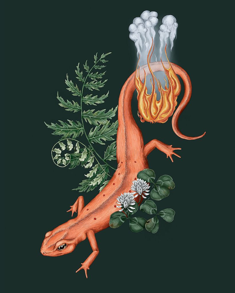 Final illustration: Scanned drawing, digitally coloured using Adobe Photoshop