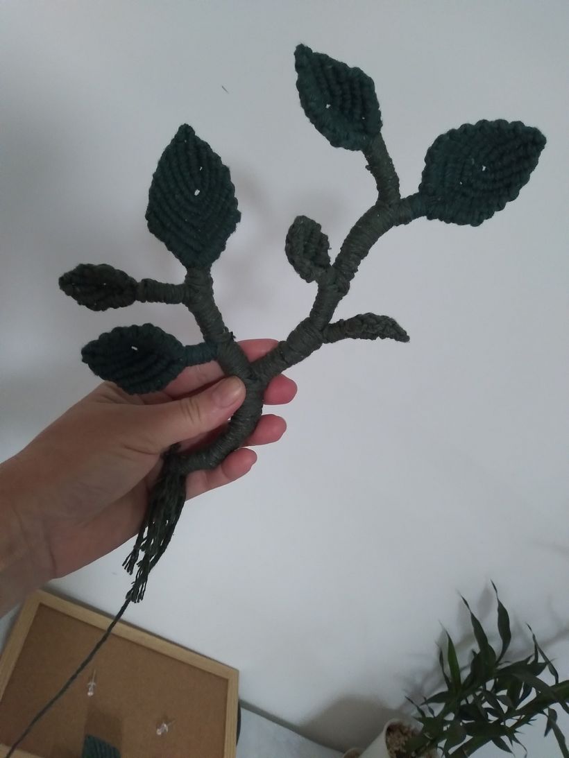 Meu projeto do curso: Macramê 3D: crie uma tapeçaria botânica 3