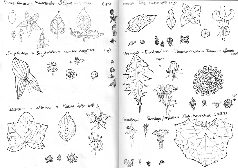 quick sketches for inspiration