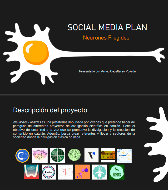 Neurones Fregides. Estrategia de comunicación para redes sociales 1