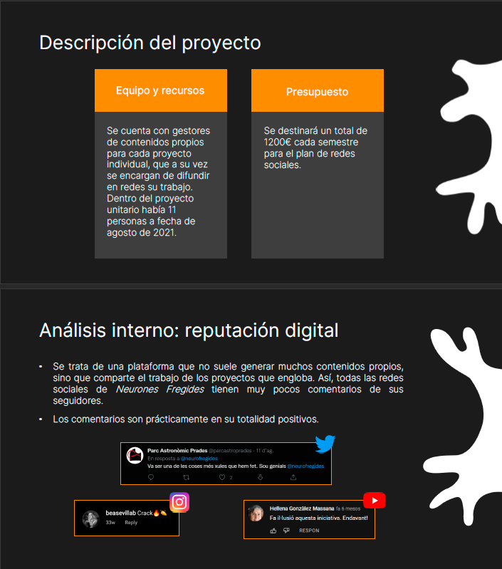 Neurones Fregides. Estrategia de comunicación para redes sociales 2