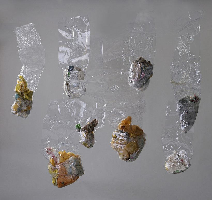 La historia abriga 11