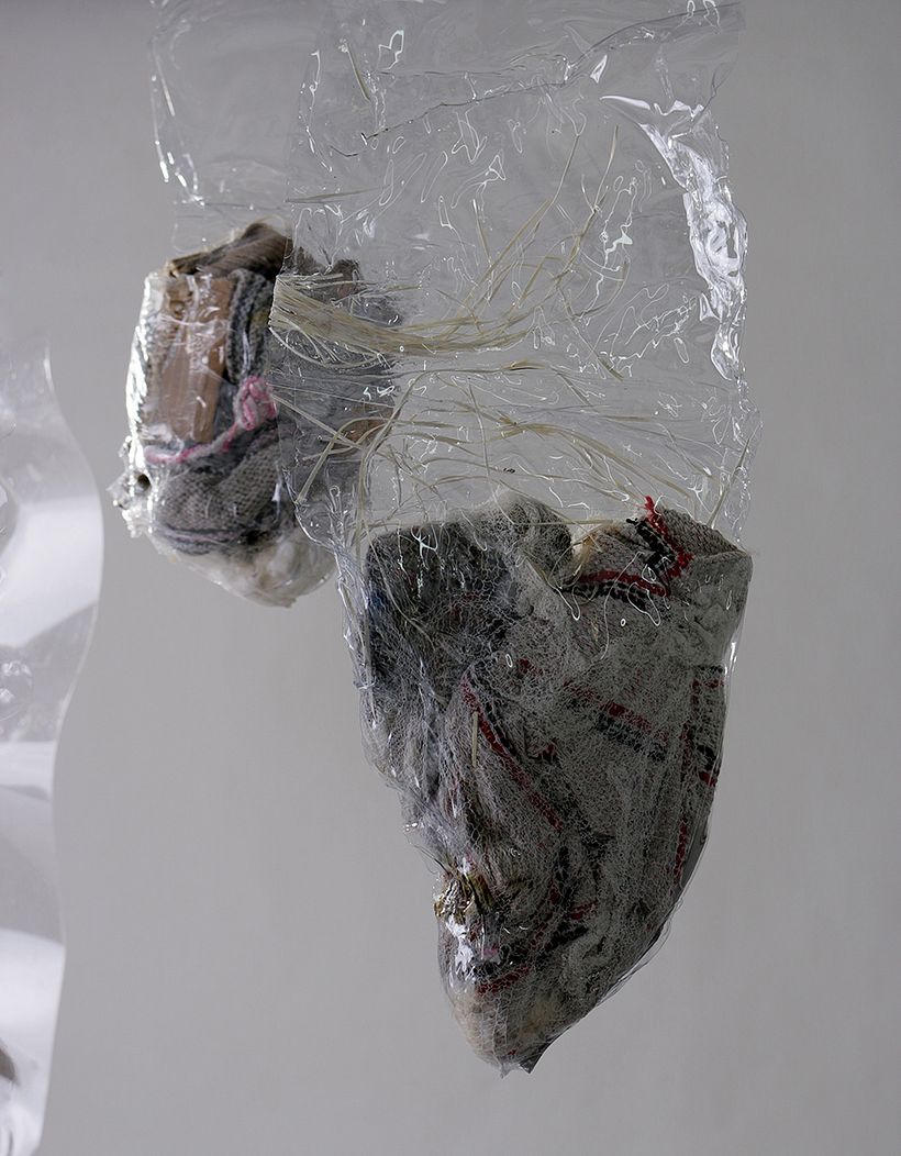 La historia abriga 6