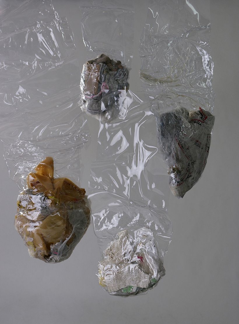 La historia abriga 7