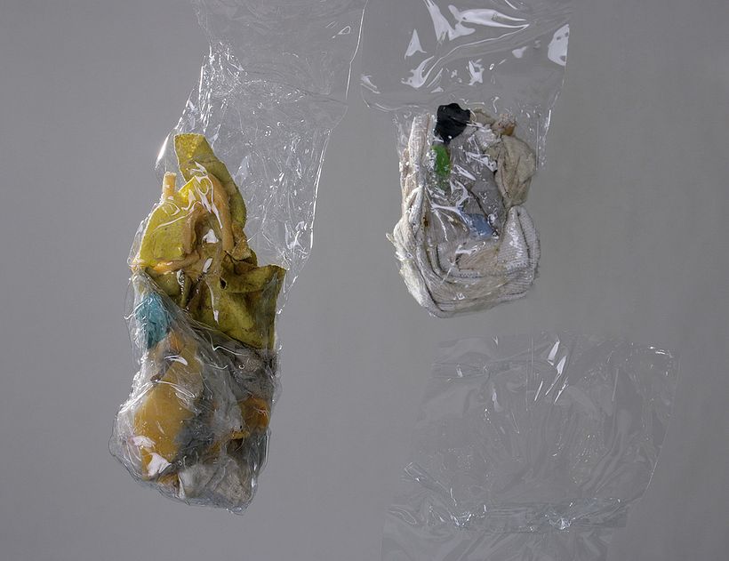 La historia abriga 8