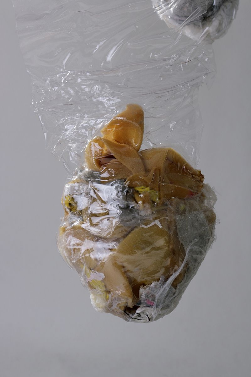 La historia abriga 9