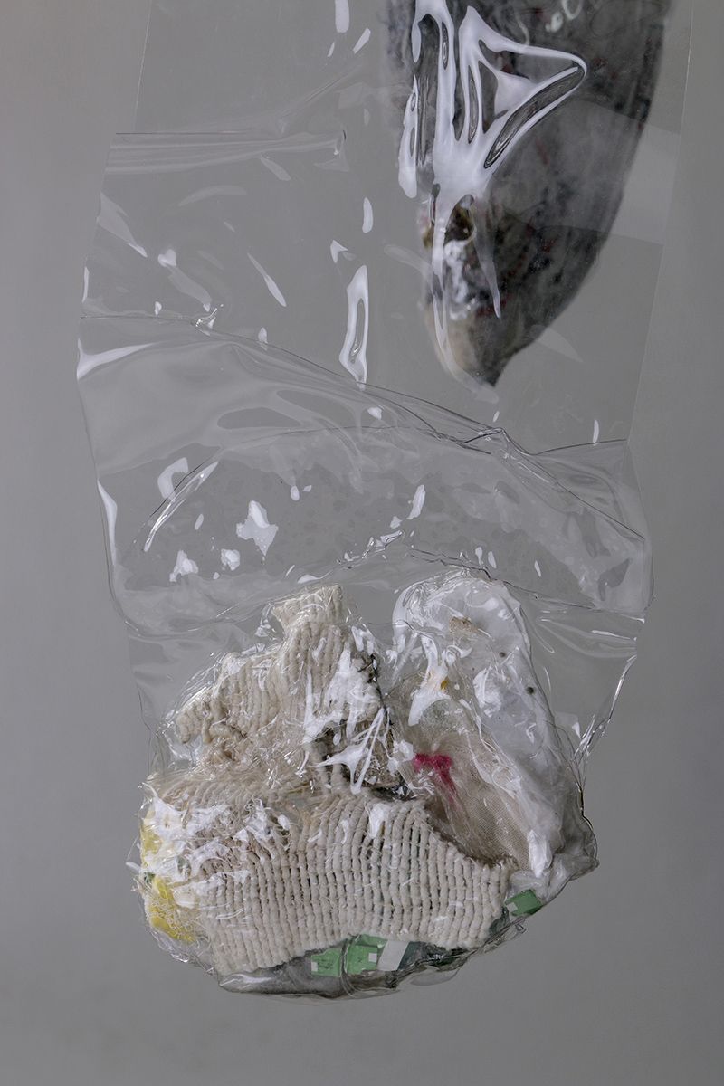 La historia abriga 10