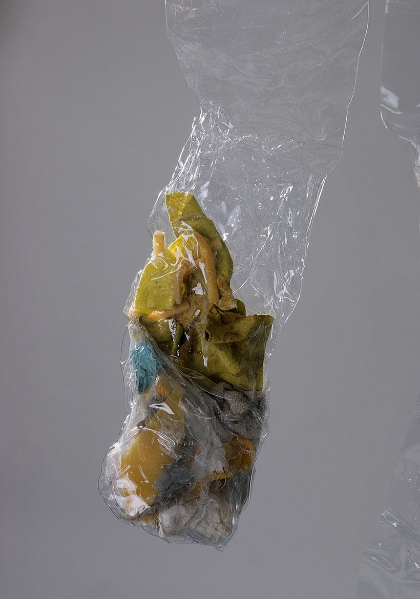 La historia abriga 12