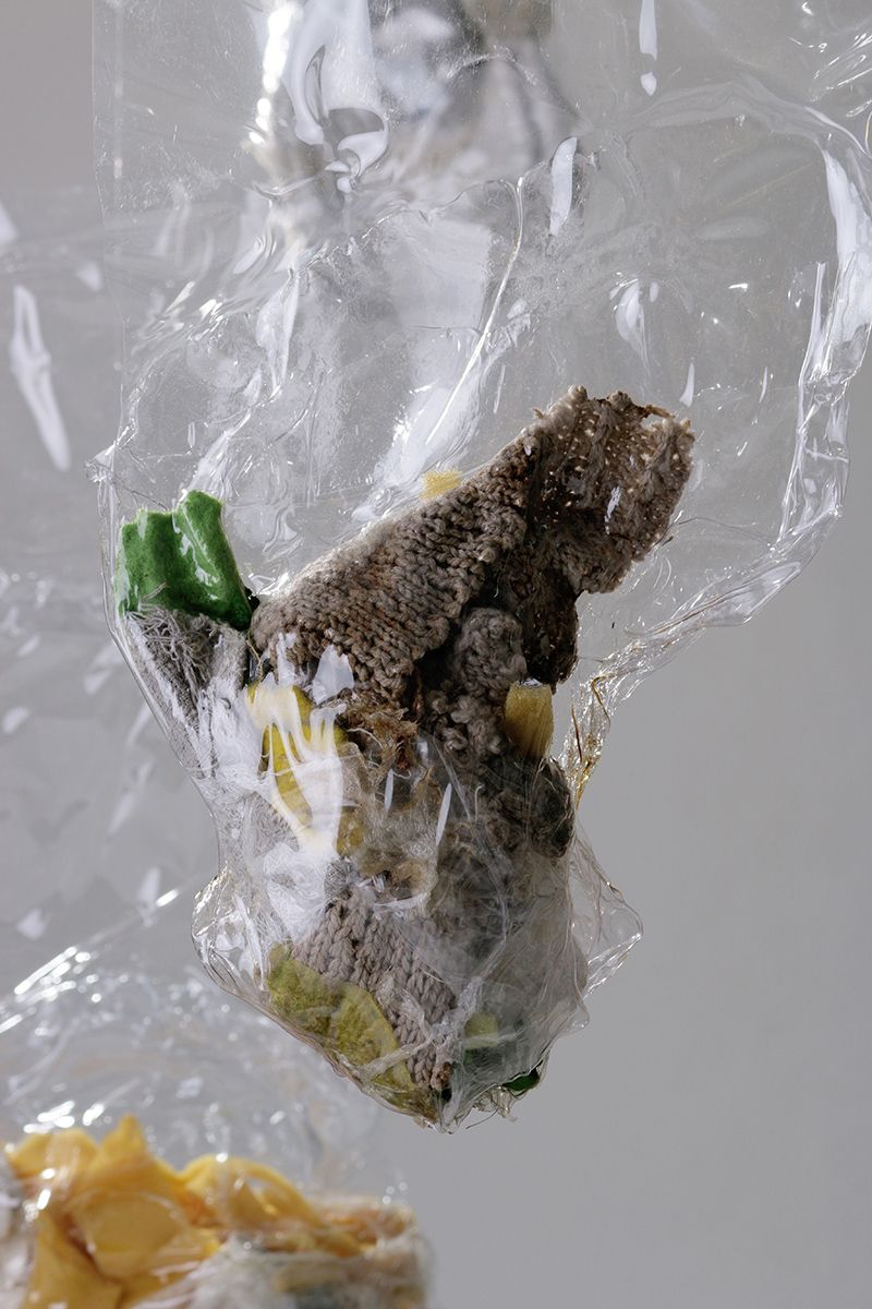 La historia abriga 14