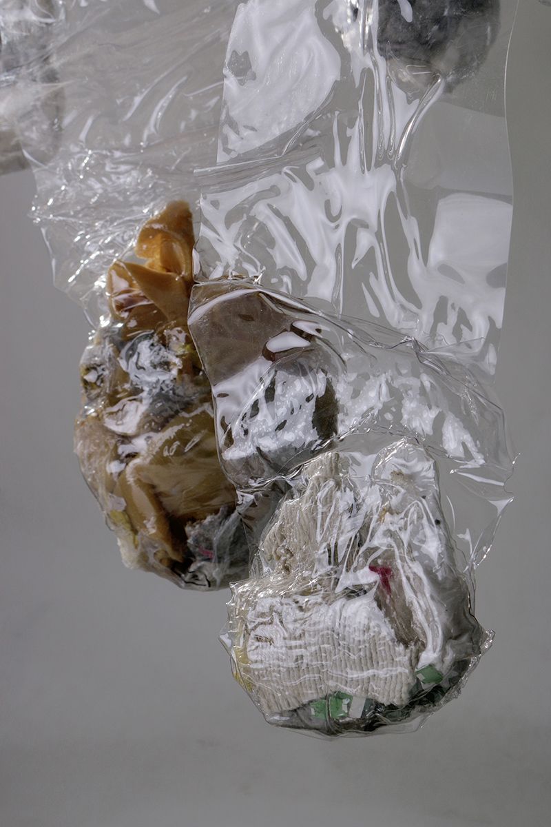 La historia abriga 17