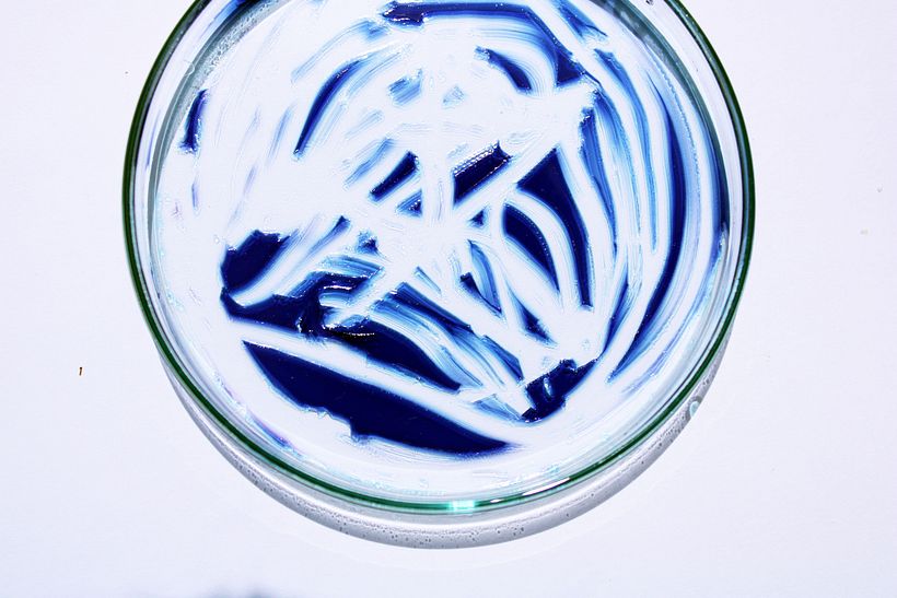 Biomateriales: Oda al error 4