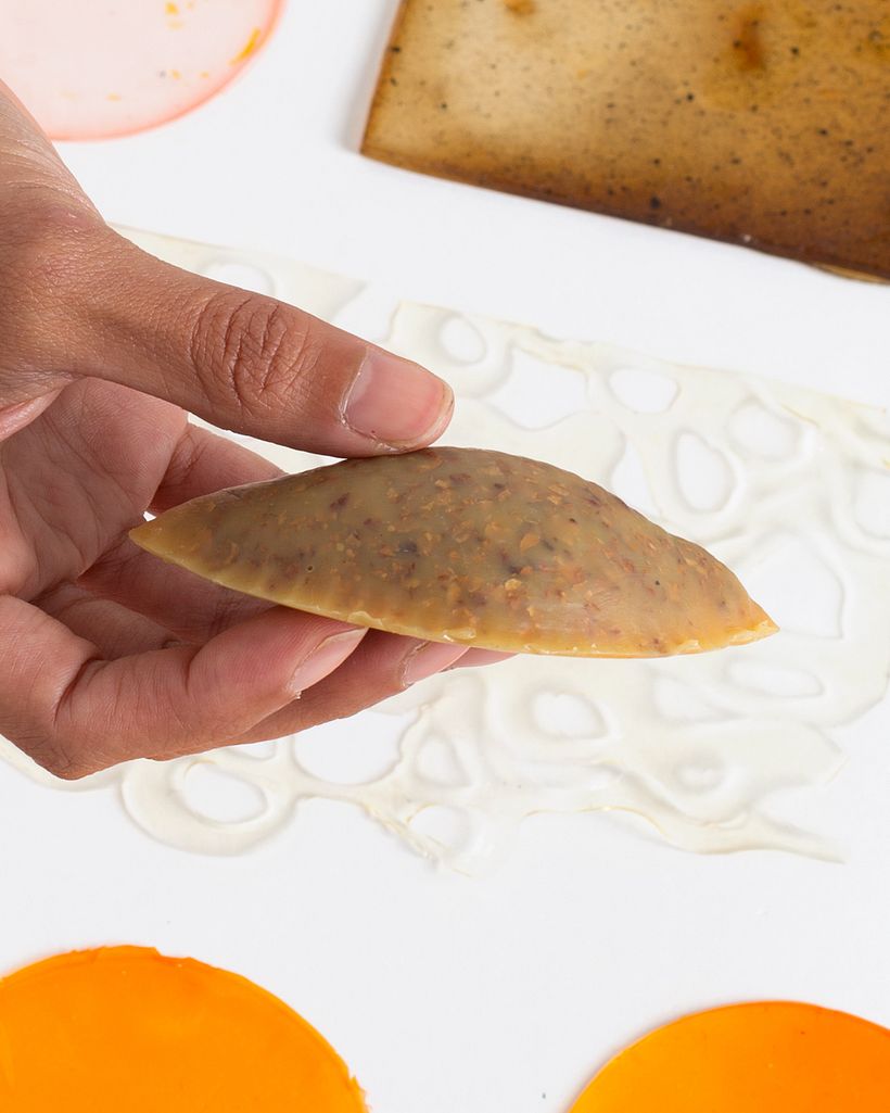 Biomateriales: generando texturas 17