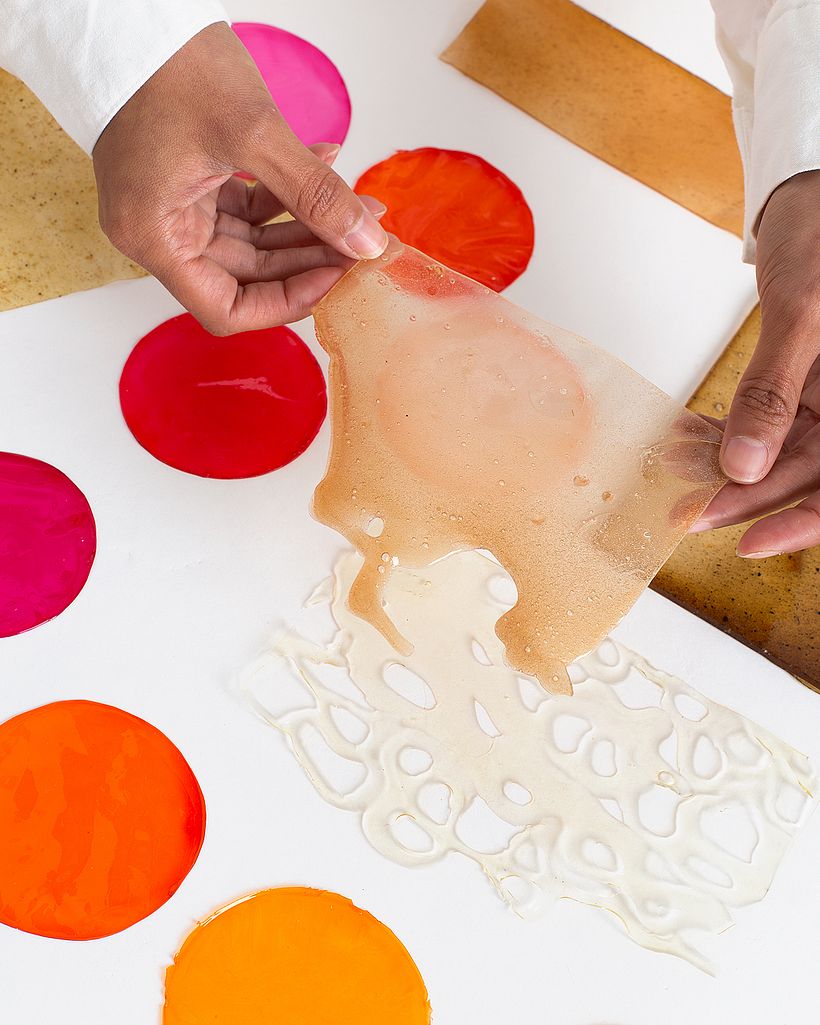 Biomateriales: generando texturas 18