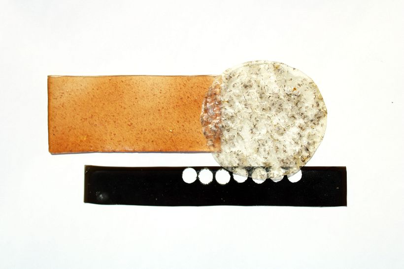 Biomateriales: generando texturas 20