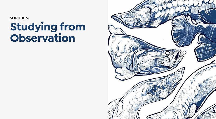 10 Free Online Illustration Classes to Help You Start Drawing 10