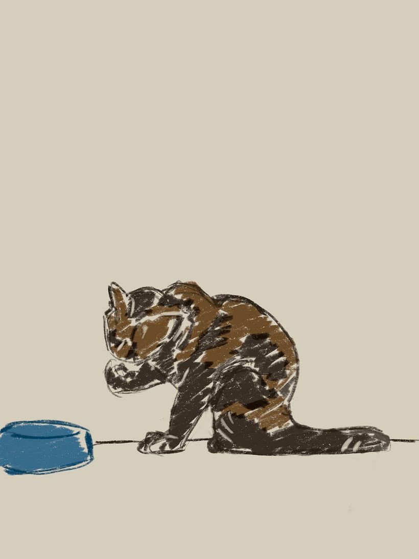 Cat Eating Dinner Study