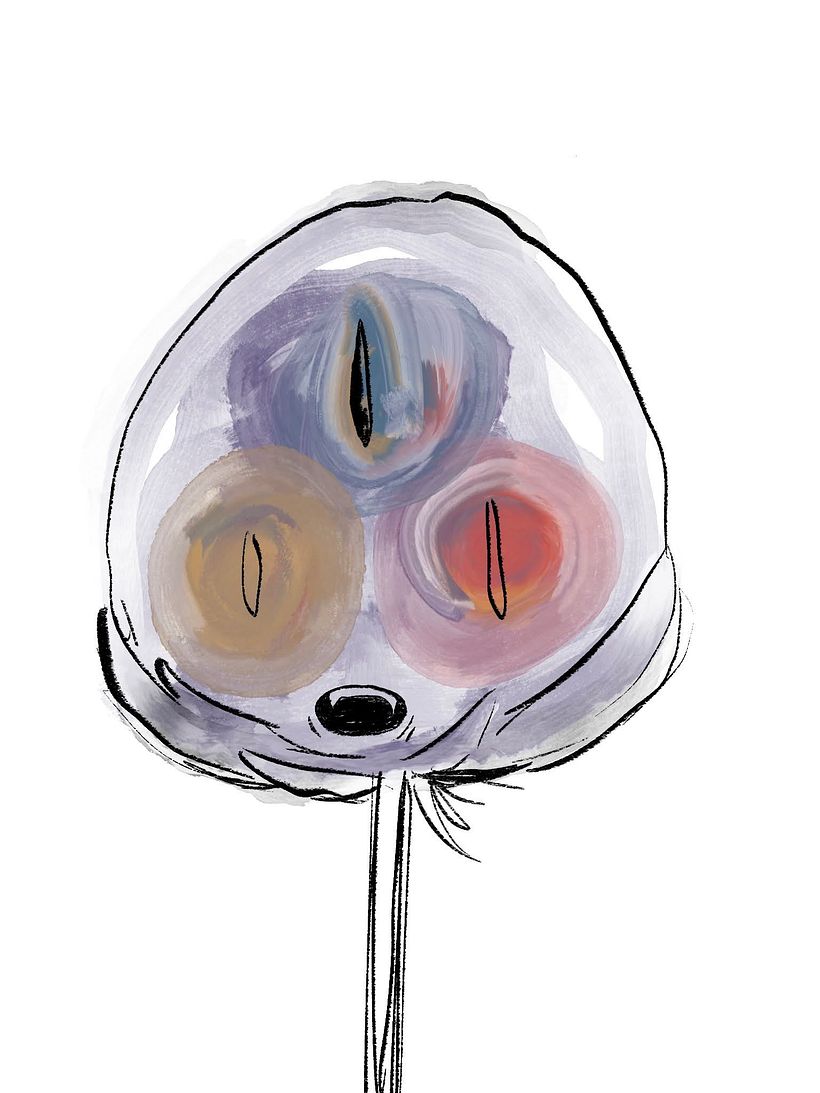 Three Eyes Study