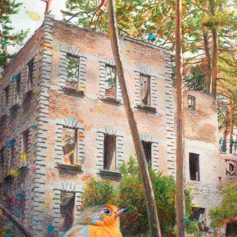 Home 7