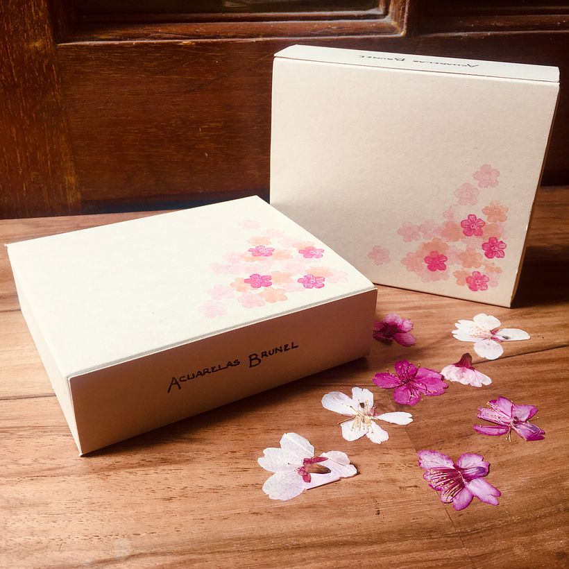 Paleta Hanami - Design