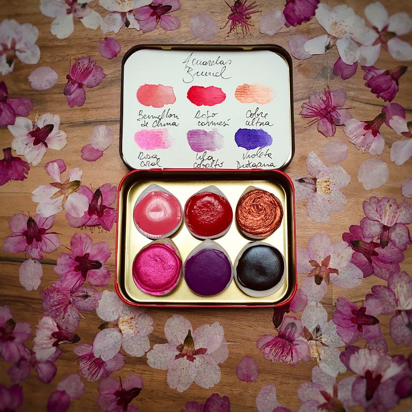 Paleta Hanami - Design