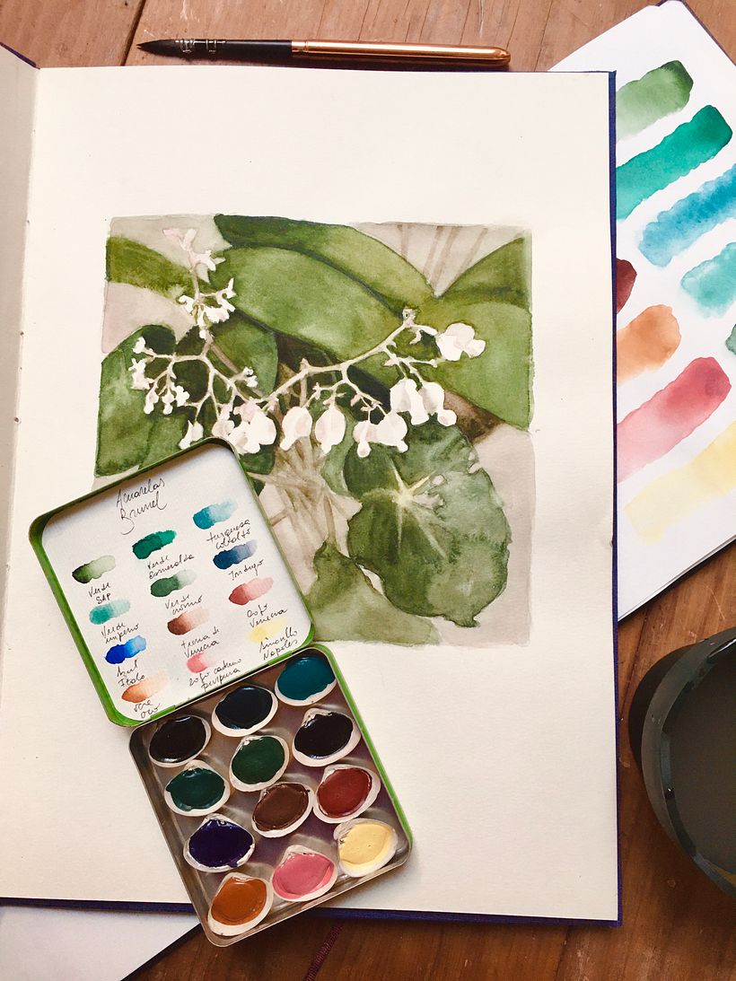 Paleta botánica Green mini  4