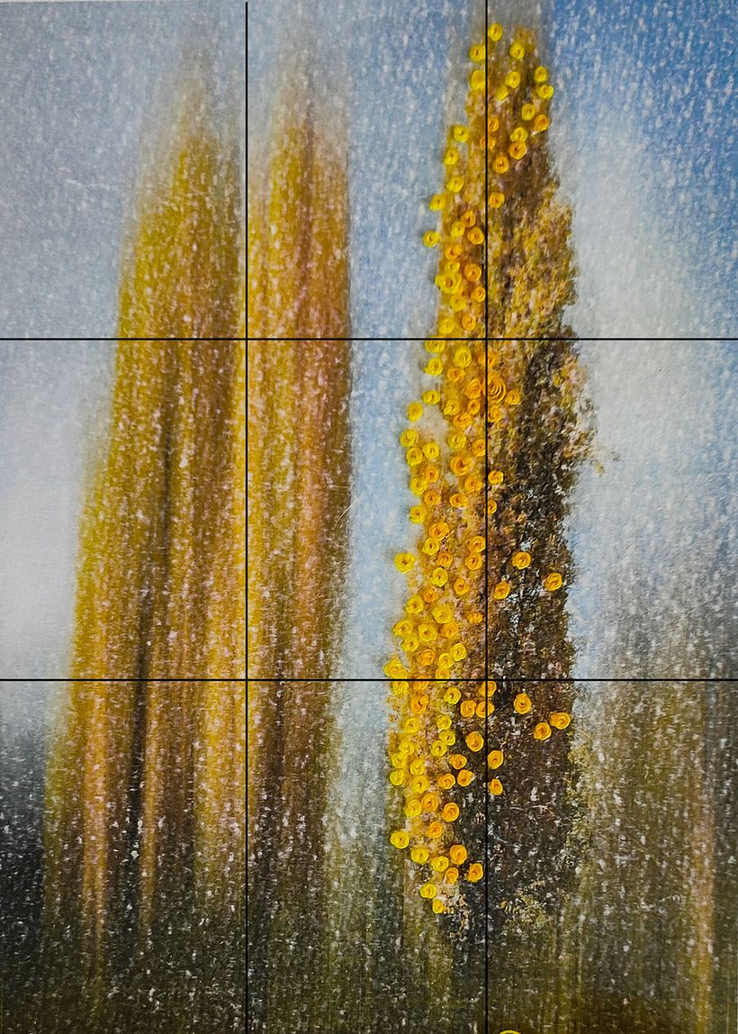 The 'Rule of thirds' with dominant tree on right vertical.