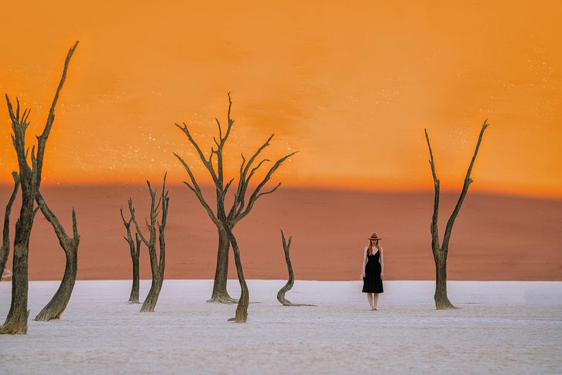 Otherworldly Landscapes & Colour Curation 3