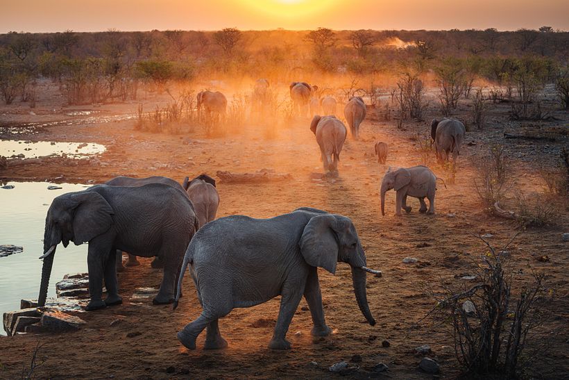 Otherworldly Landscapes & Colour Curation 4