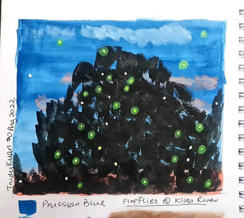 Fireflies in Mangrove - 4th