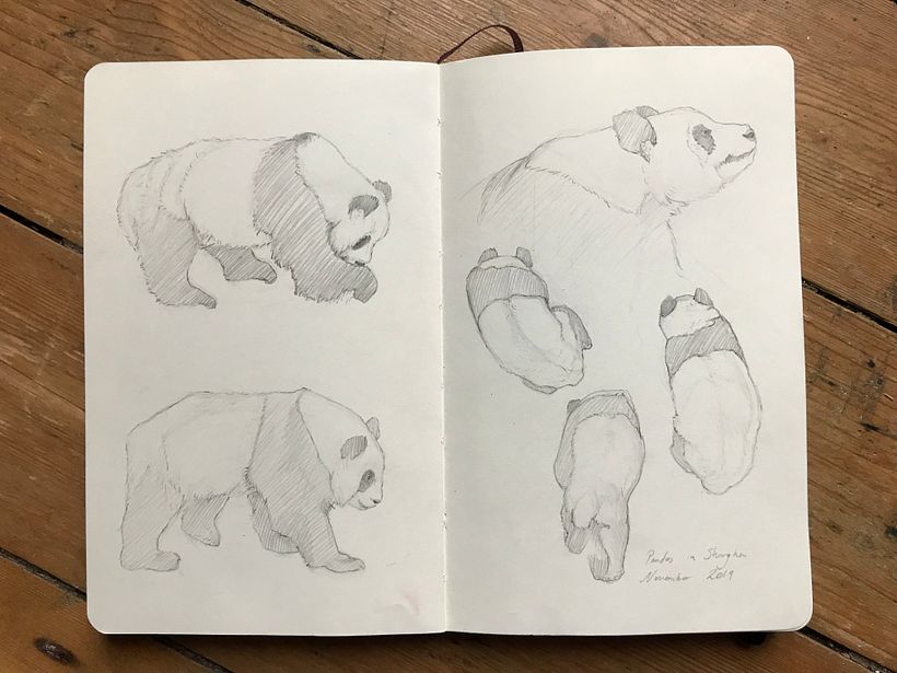 Sketches from a Disappearing World - Drawings of travels and animal encounters published in to a book 4