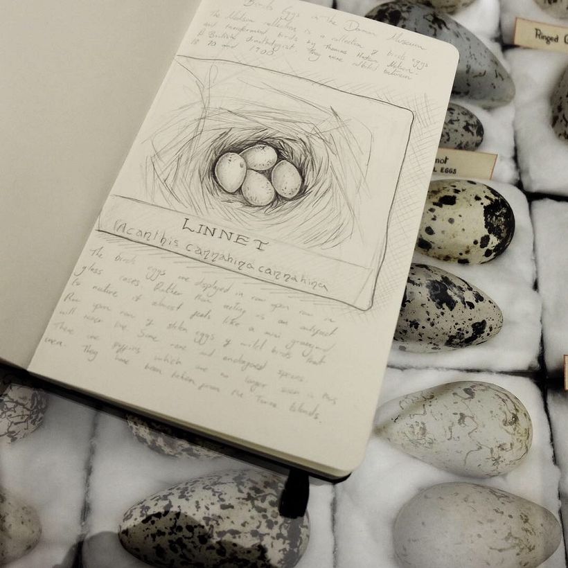 Sketches from a Disappearing World - Drawings of travels and animal encounters published in to a book 1