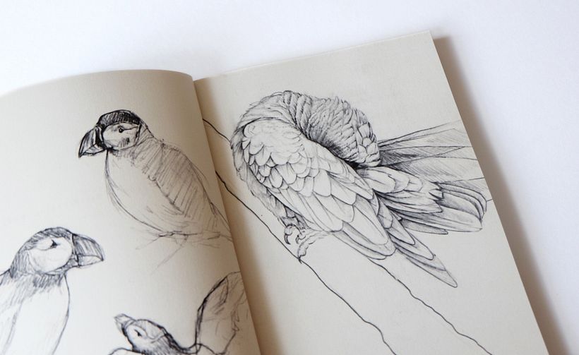 Sketches from a Disappearing World - Drawings of travels and animal encounters published in to a book 7