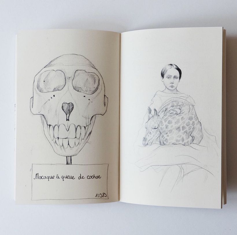 Sketches from a Disappearing World - Drawings of travels and animal encounters published in to a book 2