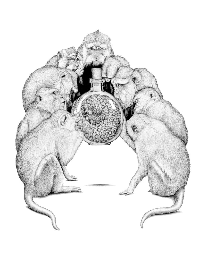 Een lofrede voor verloren dieren - Tekeningen voor een tentoonstelling over de handel in wilde dieren 5