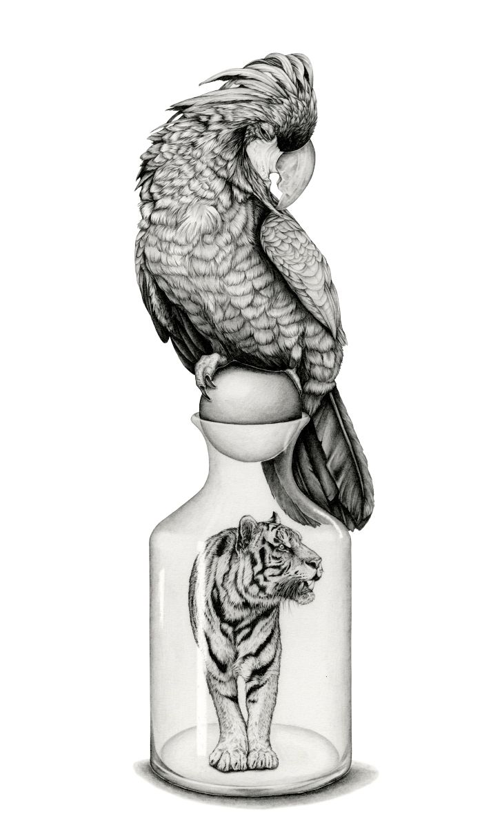 Een lofrede voor verloren dieren - Tekeningen voor een tentoonstelling over de handel in wilde dieren 1