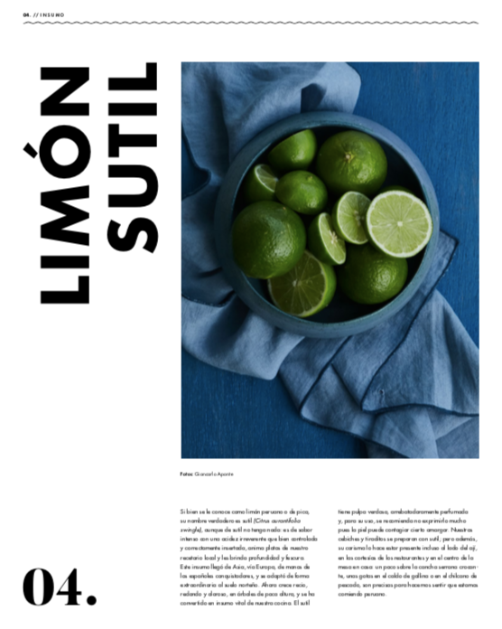 Publicación quincenal Siete sobre sostenibilidad, mar y cocina en formato impreso 2