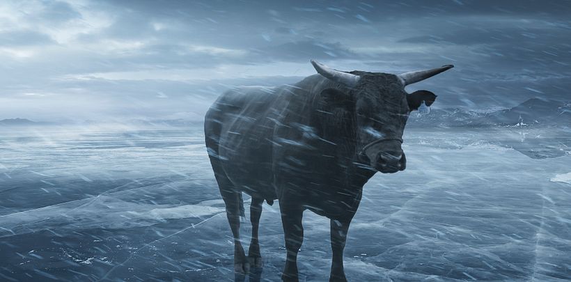 Look development - Concept stormy version